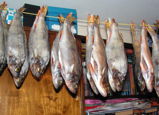 Как сушить рыбу в домашних условиях летом без мух – способы