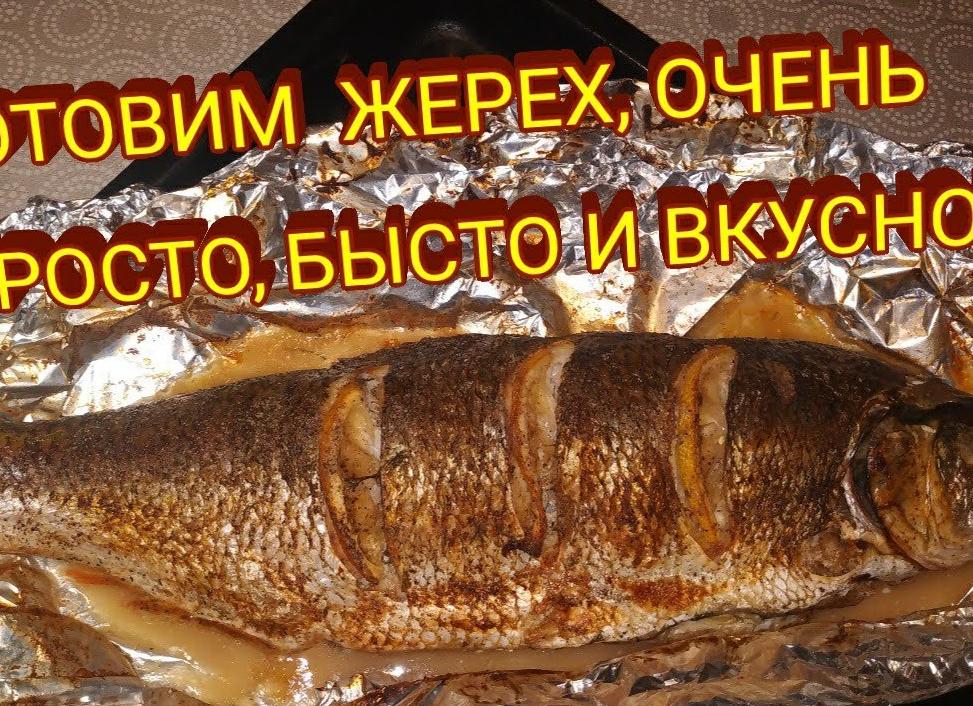 Жерех рыба – как приготовить, рецепты