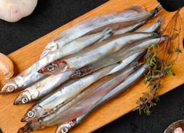 Мойва – польза и вред для здоровья