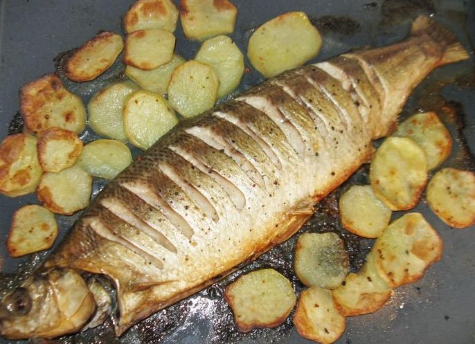 Нельма – рецепты приготовления в домашних условиях