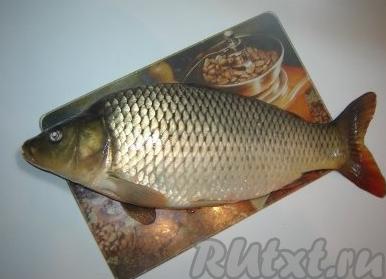 Карп в сметане – рецепты