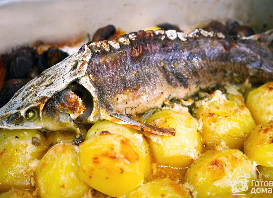 Как вкусно приготовить стерлядь в духовке целиком – рецепт