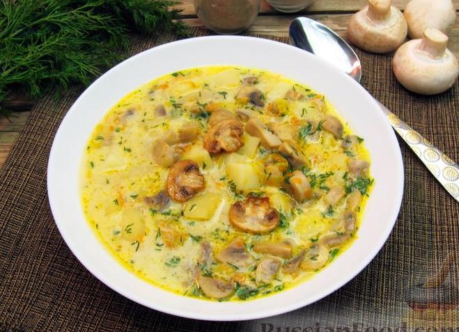 Как варить грибной суп правильно