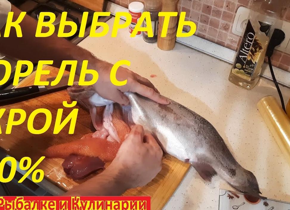 Как выбрать форель с икрой – советы